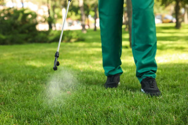 Best Flea Control Services  in Worthington Hills, KY