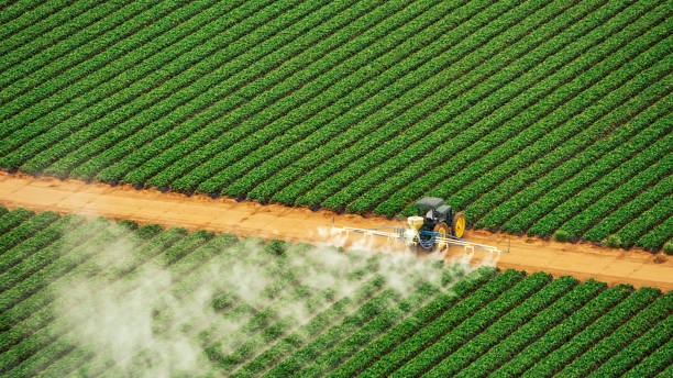 Best Mosquito Control Services  in Worthington Hills, KY