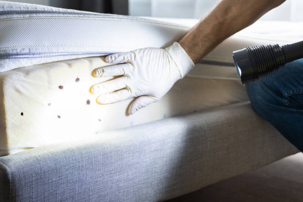 Best Pest Control for Businesses  in Worthington Hills, KY