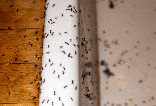 Wildlife Control Services in Worthington Hills, KY