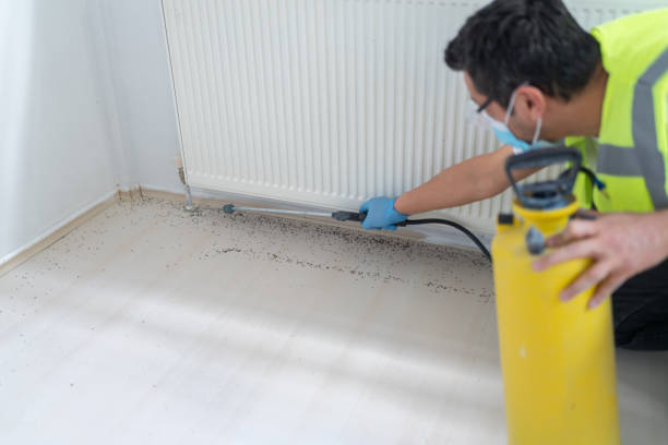 Professional Pest Control in Worthington Hills, KY