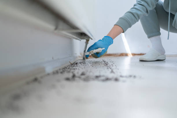 Pest Control Cost in Worthington Hills, KY