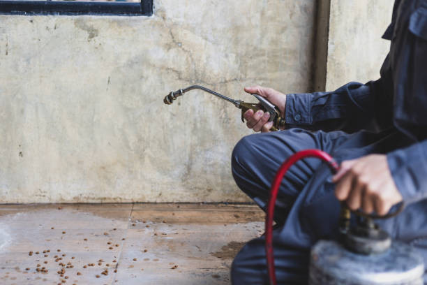 Best Affordable Pest Control Services  in Worthington Hills, KY